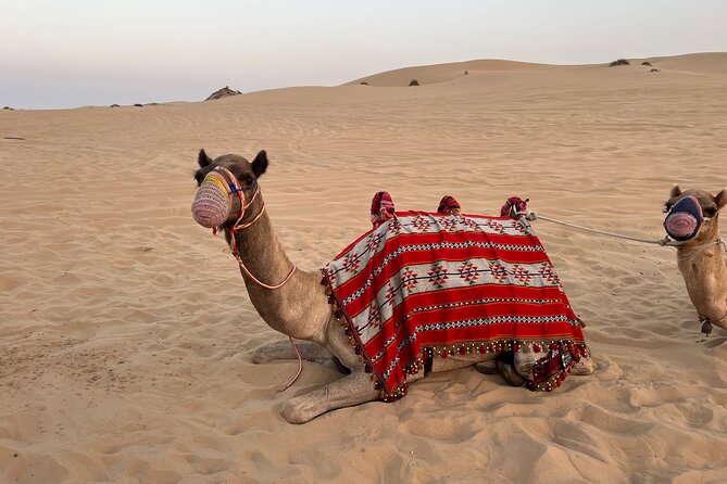 Dubai Red Desert Safari on Private 4x4, Sand Boarding, Camel 4hrs - Camel Ride Experience