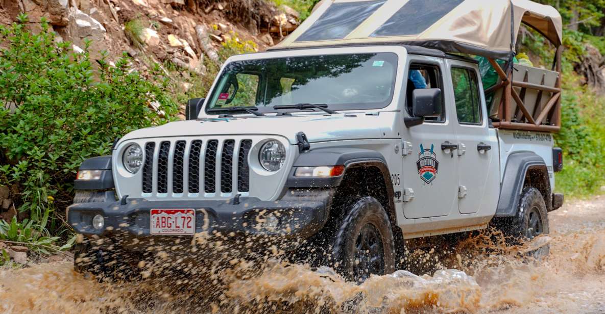 Durango Jeep Tour — La Plata Canyon - Wildlife Spotting Opportunities