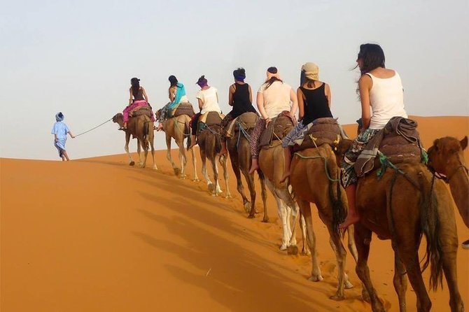 Enjoy 1 Nights in Luxury Berber Tents , Camel Trek,Sandboarding,Atv QUADS - Traditional Berber Music Performance