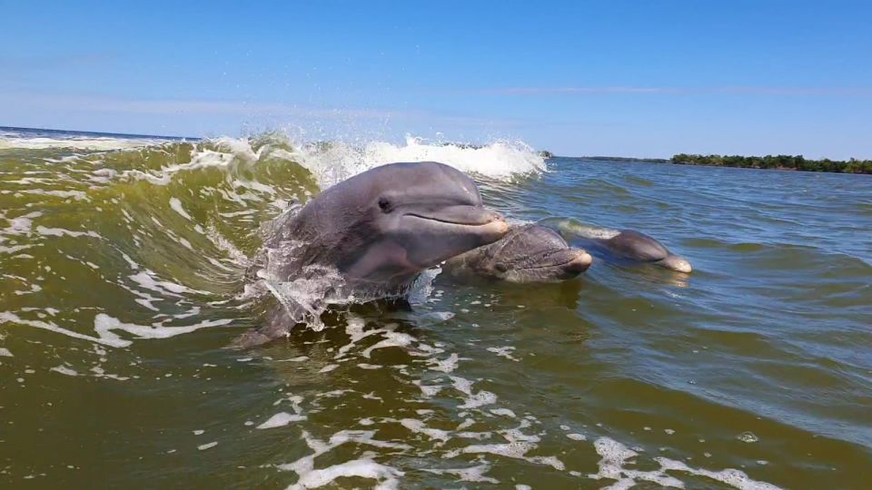 Everglades National Park: Motorboat Eco Tour - Park Passes and Restrictions