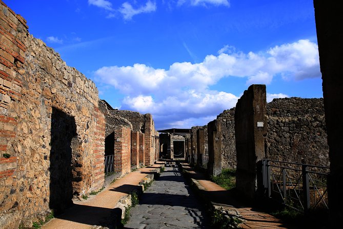 Fast Access Exclusive Private Ancient Pompeii Herculaneum & Oplontis Guided Tour - Discovering Ancient Roman Daily Life