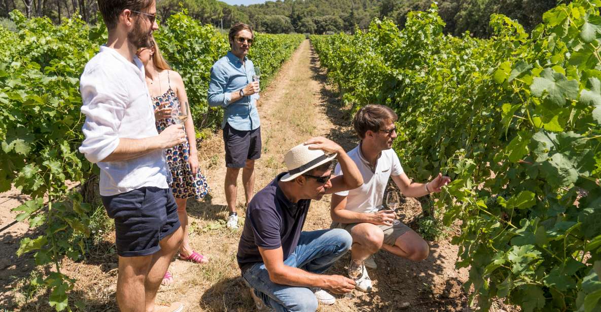 From Avignon: Châteauneuf Du Pape and Luberon Tour With Wine - Booking and Cancellation