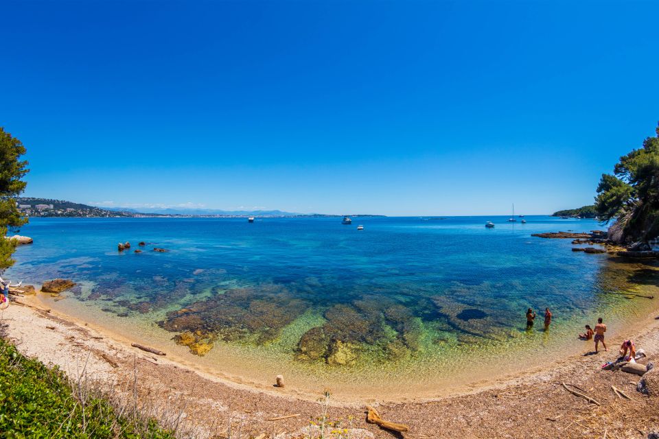 From Cannes: Round-Trip Ferry to Ste. Marguerite Island - Explore the Islands Natural Wonders