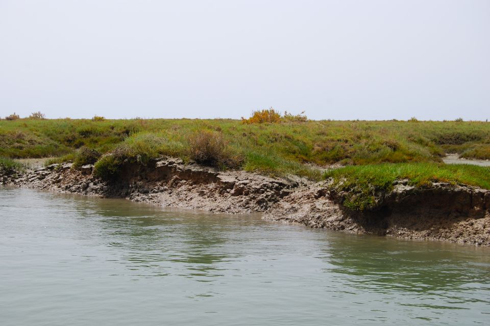 From Faro: Ria Formosa Lagoon Boat Tour With Local Guide - Accessibility and Cancellation