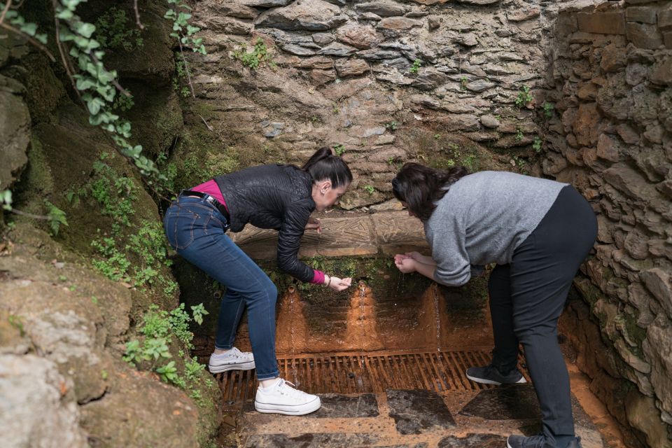 From Granada: Alpujarra Villages Guided Day Tour - Customer Feedback