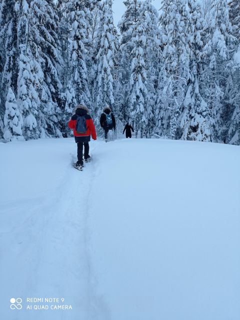 From Helsinki: Nuuksio National Park Hiking Tour With Food - Frequently Asked Questions