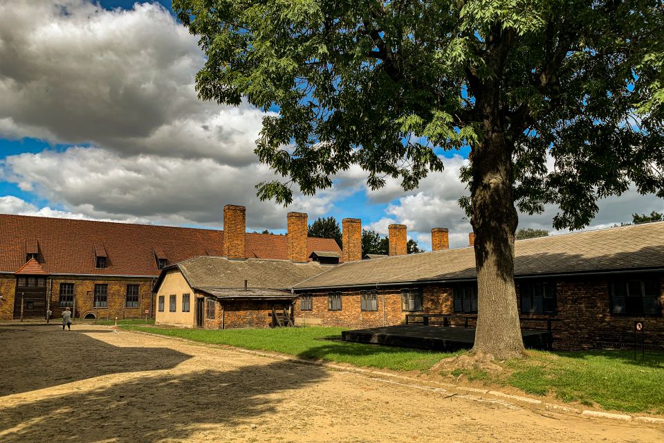 From Krakow: Auschwitz-Birkenau Memorial and Museum Tour - Languages Offered