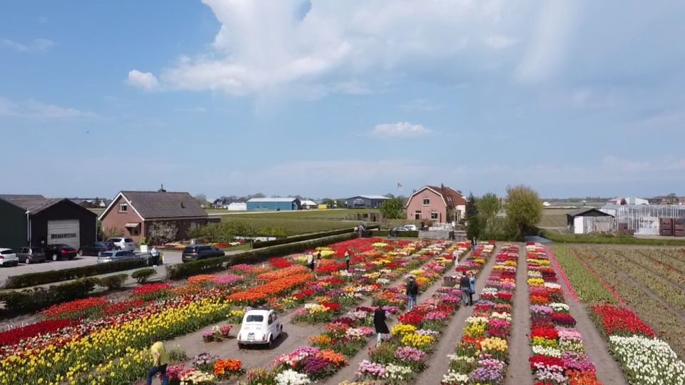 From Lisse: Flower Bike Tour Along Keukenhof and Flowerfarm - Booking and Cancellation Policy