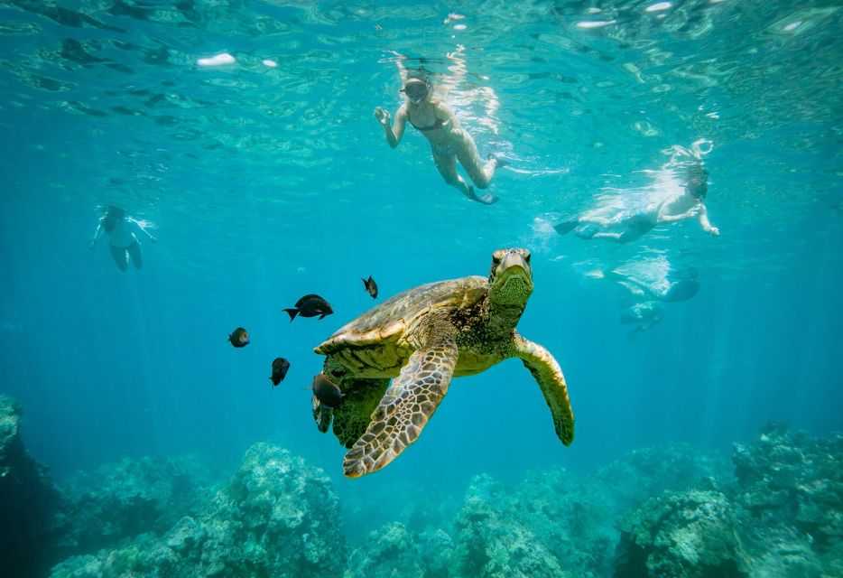 From Maalaea: Turtle Town 3-Hour Snorkel and Sail Adventure - Booking and Cancellation Policy