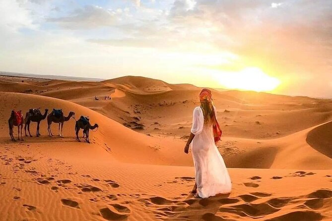 From Maarrakech:3day Small Group From Marrakech to Merzouga Dunes - Visiting Kasbahs and Culture