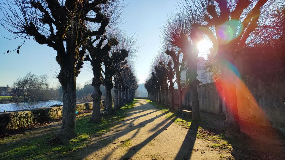 From Poitiers: Private Tour of Saint-Savin - Antigny Village