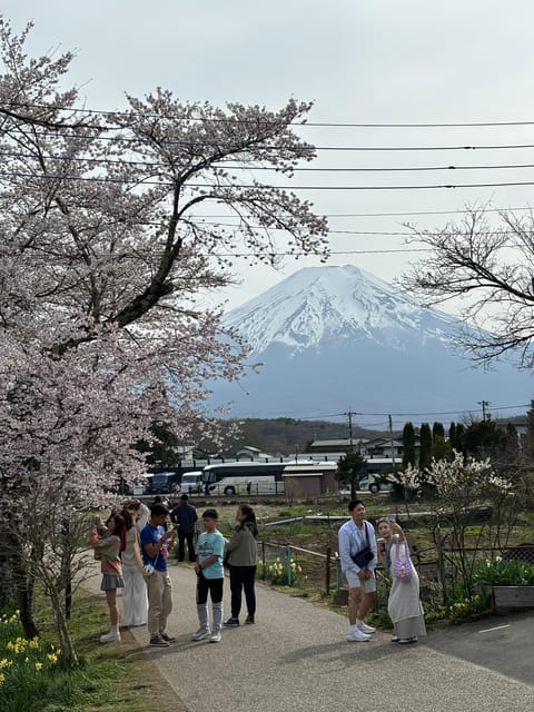 From Tokyo: Mt. Fuji Private Car Day Trip With Guide - Cancellation Policy