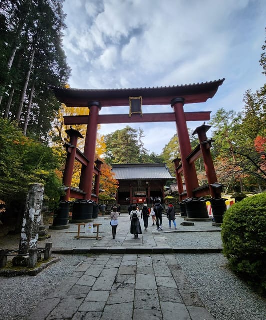 From Tokyo:One Day Nikko Tour With English Speaking Driver - Tour Suitability