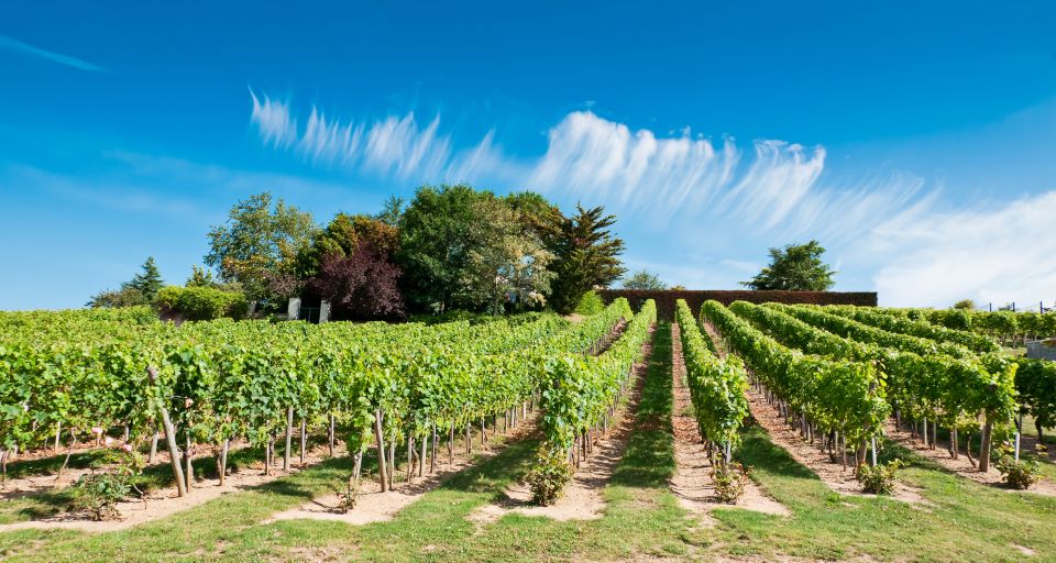 From Tours: Loire Valley Wineries Day Trip With Tastings - Payment Options