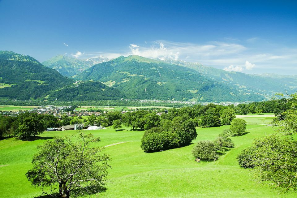 From Zurich: Private Trip to Liechtenstein and Heidiland - Frequently Asked Questions