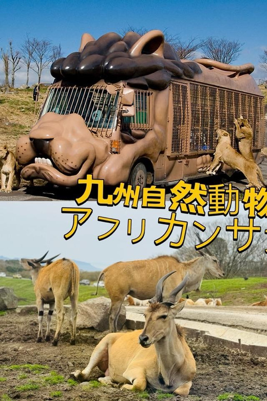 Fukuoka: Kyushu Natural Animal Park Tour Review - Safari Experience