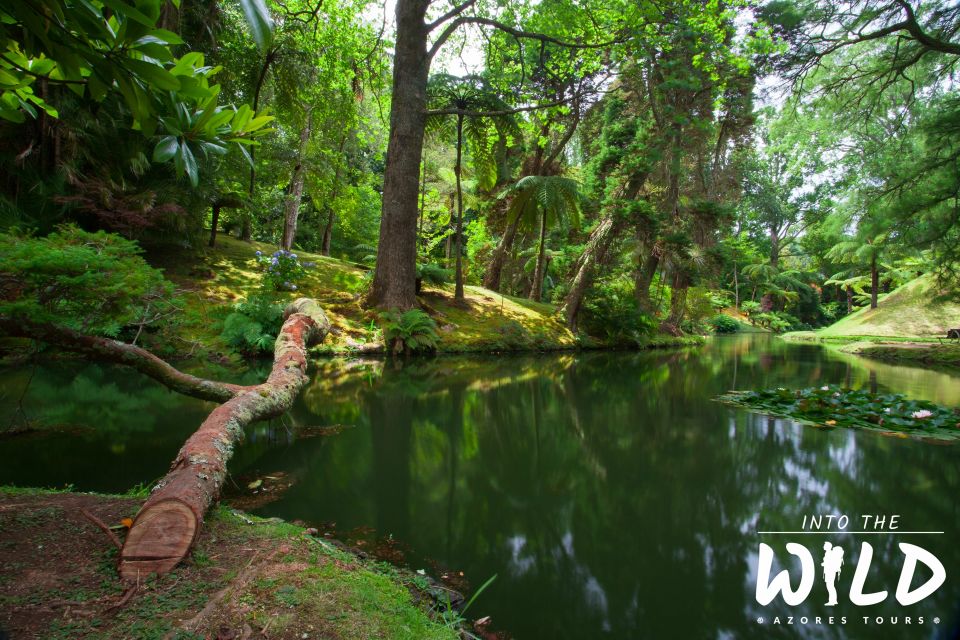 Full-Day Furnas Guided Tour With Optional Hot Springs - Small Group Tour