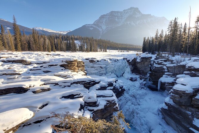 Full Day Tour in Lake Louise and Ice Field Parkway - Taking in the Stunning Landscapes