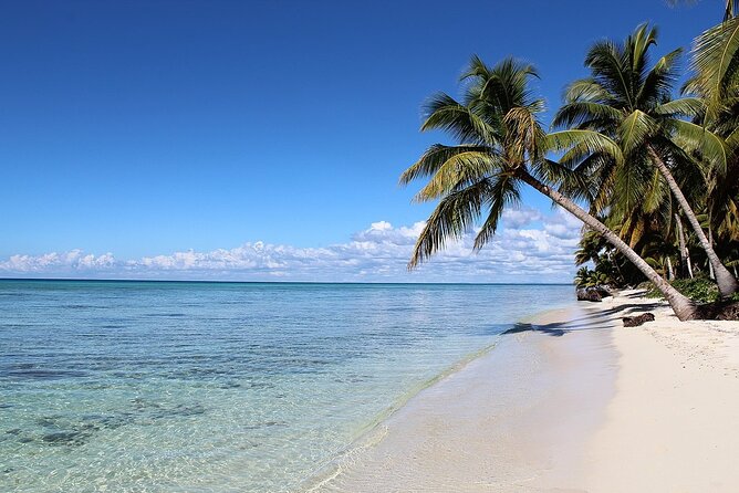 Full Day Tour to Saona Island by Catamaran From Cabeza De Toro - Food and Refreshments