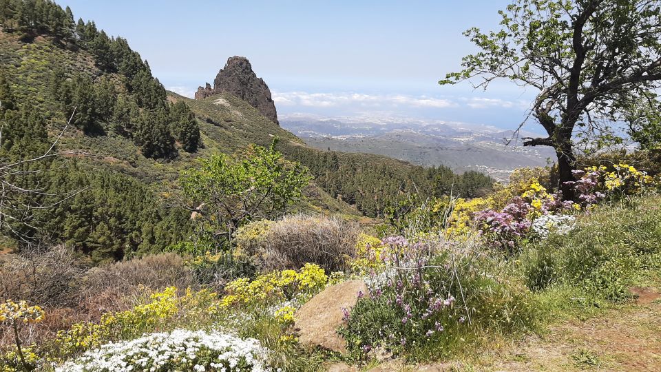 Gran Canaria: Highlights Tour Roque Nublo by 2 Native Guides - Things To Known