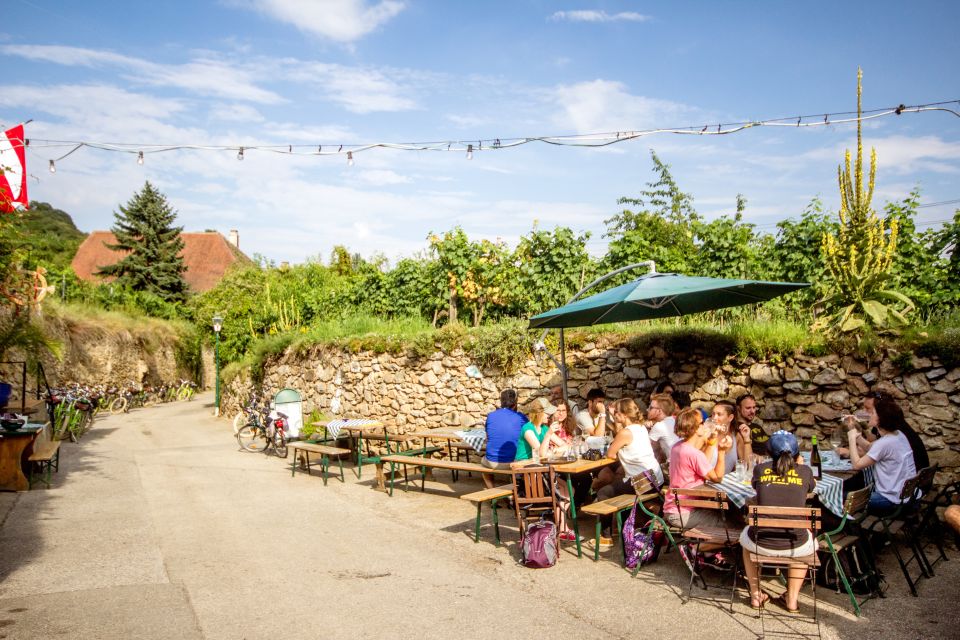 Grape Grazing: Wachau Valley Winery Biking Tour - Optional Lunch in Weißenkirchen