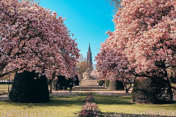 Guided Walking Tour in Strasbourg Between History and Curiosities - Traveler Testimonials and Ratings