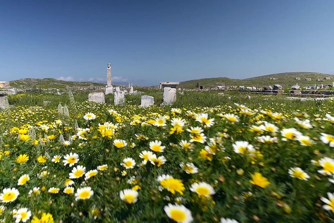 Half-Day Delos Tour From Mykonos - House of Dionysos