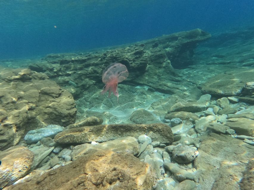 Heraklion: Beginners Intro Dive W/2 Dives With Transfer. - Customer Feedback and Ratings