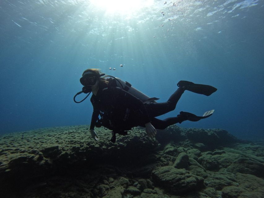 Heraklion: Scuba Diving Trip for Beginners - Customer Feedback Highlights