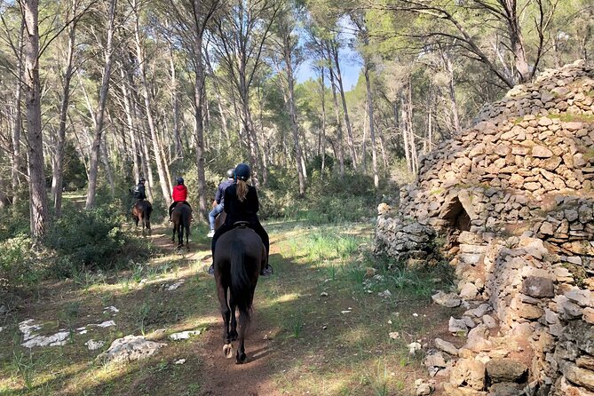 Horseback Riding in Cala Mitjana, Menorca, Spain - Seasonal Variations and Beach Rides