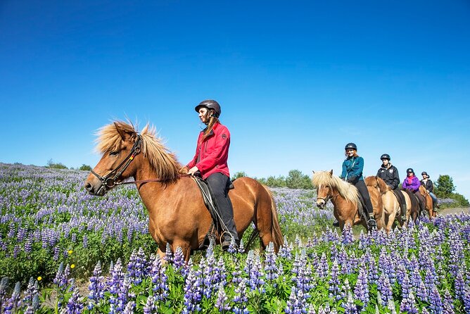 Horseback Riding Tour in Iceland - Personalized Service