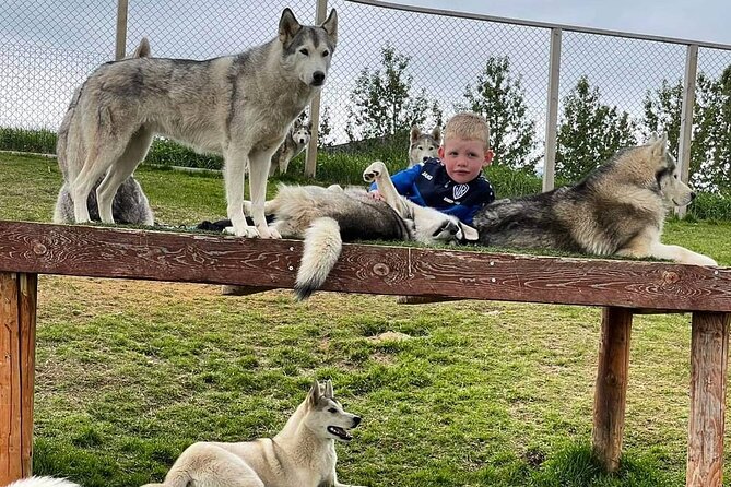 Husky Petting in Akureyri (private) - Confirmation and Accessibility