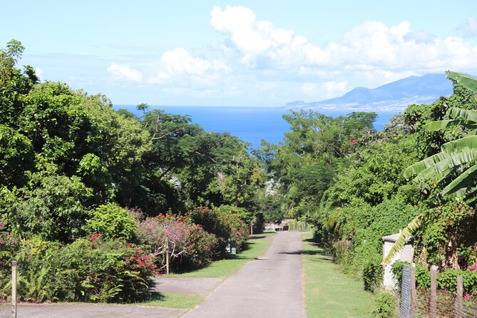 Island of Nevis Tour - Sunshines Bar & Grill