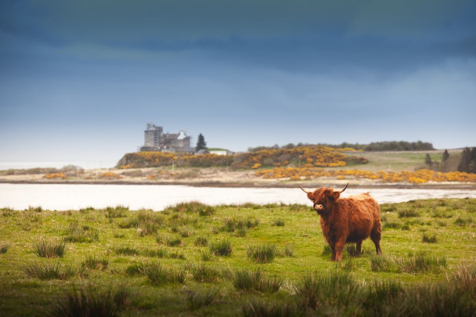 Isle of Mull and Iona 3-Day Small-Group Tour From Glasgow - Age Requirement