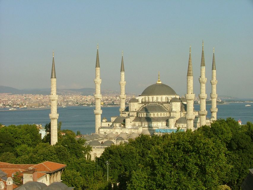 Istanbul: Half-Day Morning Hagia Sophia & Blue Mosque Tour - Inclusions and Logistics