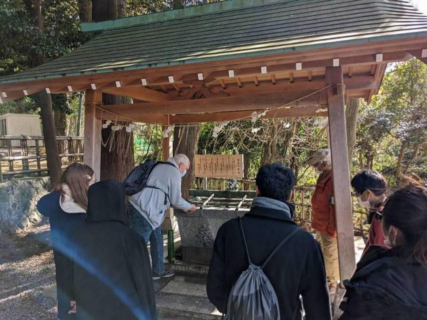 Izu Peninsula: Ike Village Experience - Group Size and Accessibility