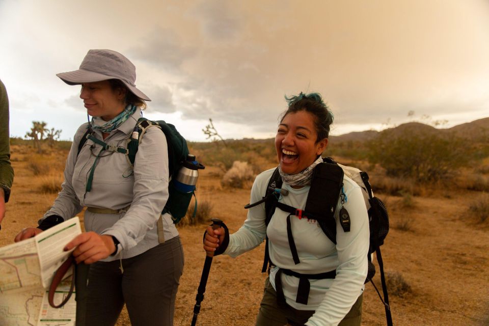 Joshua Tree NP: Sunrise or Sunset Tour - Picnic Lunch or Dinner