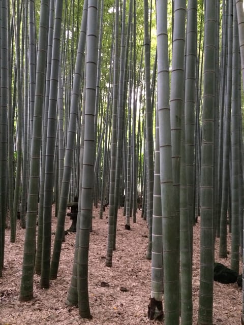 Kamakura Walking Tour With Local Guide Including Hokokuji - Tour Exclusions