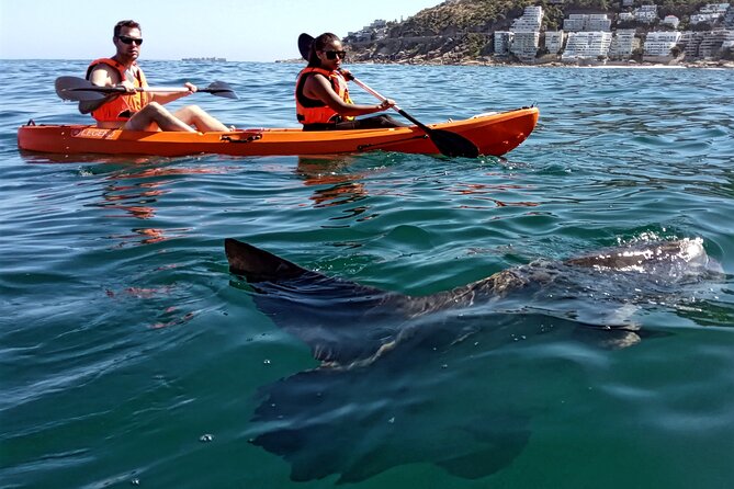 Kayak Adventure at Clifton Beach - Safety Precautions