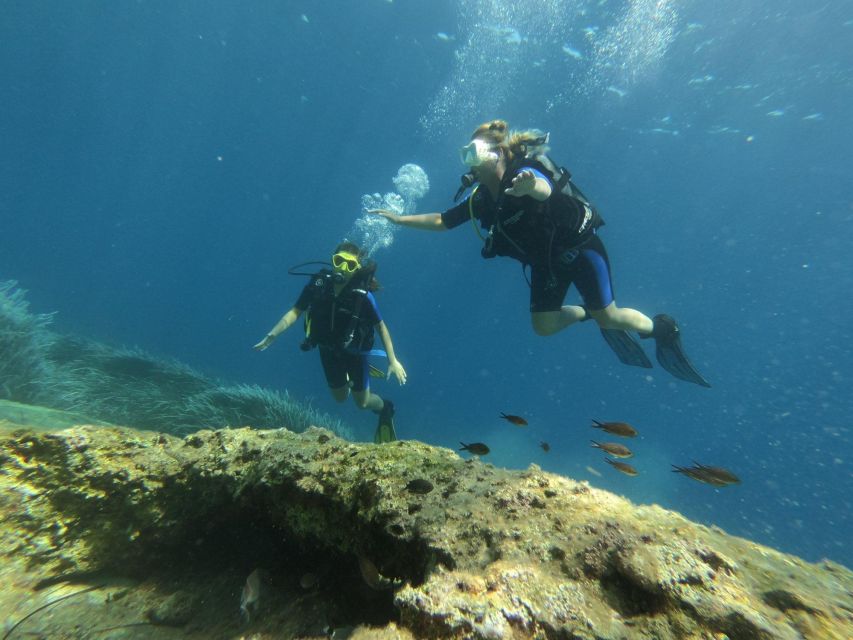 Kefalonia: Beginner Scuba Diving at Agia Efimia Village - Health and Eligibility Requirements