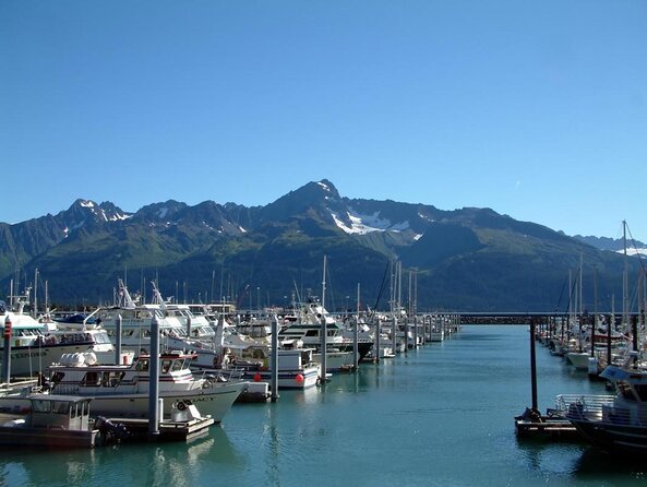 Kenai Fjords and Resurrection Bay Half-Day Wildlife Cruise - Weather, Accessibility, and Safety