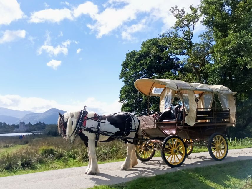 Killarney: Killarney National Park Private Tour - Additional Attractions and Activities