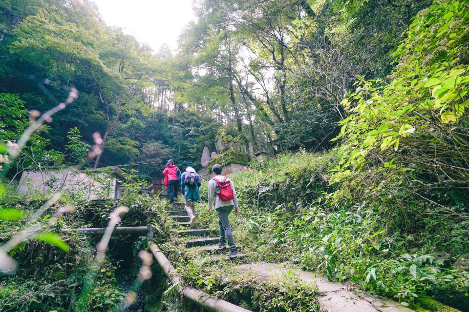 Kyoto: 3-Hour Fushimi Inari Shrine Hidden Hiking Tour - Photograph Uncharted Areas With Local Guide