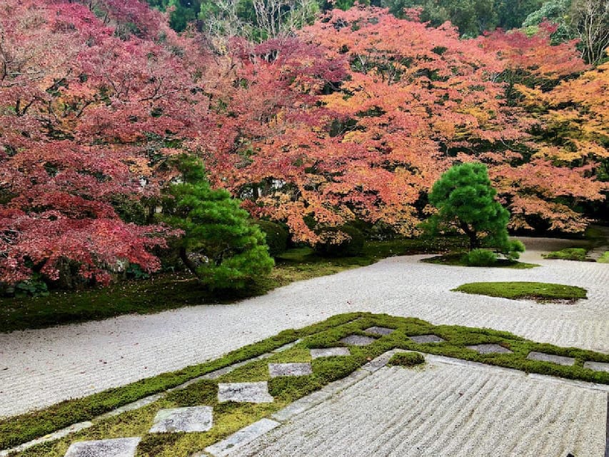 Kyoto Garden Tour and Mini Garden Review - Creating a Mini Garden