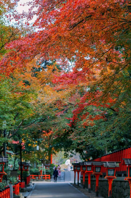 Kyoto/Osaka: Kiyomizu-dera Temple,Nara Park Day Trip - Nara Park