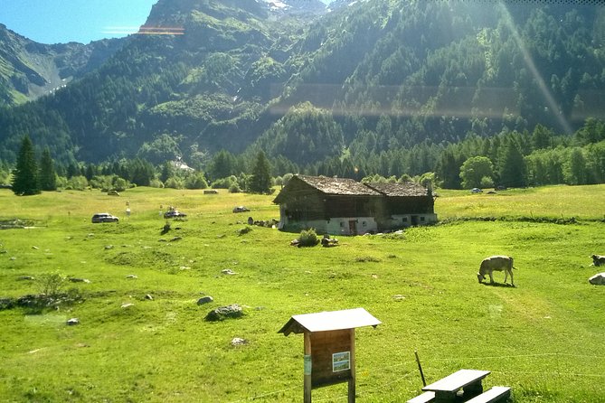 Lake Como, Swiss Alps and Bernina Train. From Milan - Additional Information