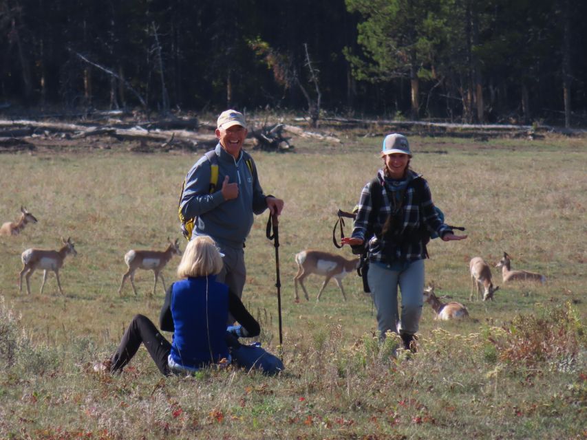 Lamar Valley: Safari Hiking Tour With Lunch - Picnic Lunch Details