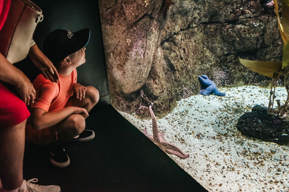 Lisbon: Oceanarium Of Lisbon Entrance Ticket - Guided Tour Options