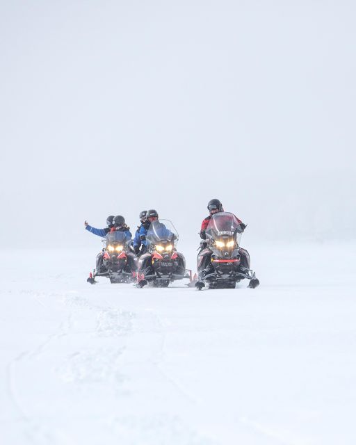 Luleå: Snowmobile - Forest and Ice Nature Tour 2h - Participant Requirements and Restrictions