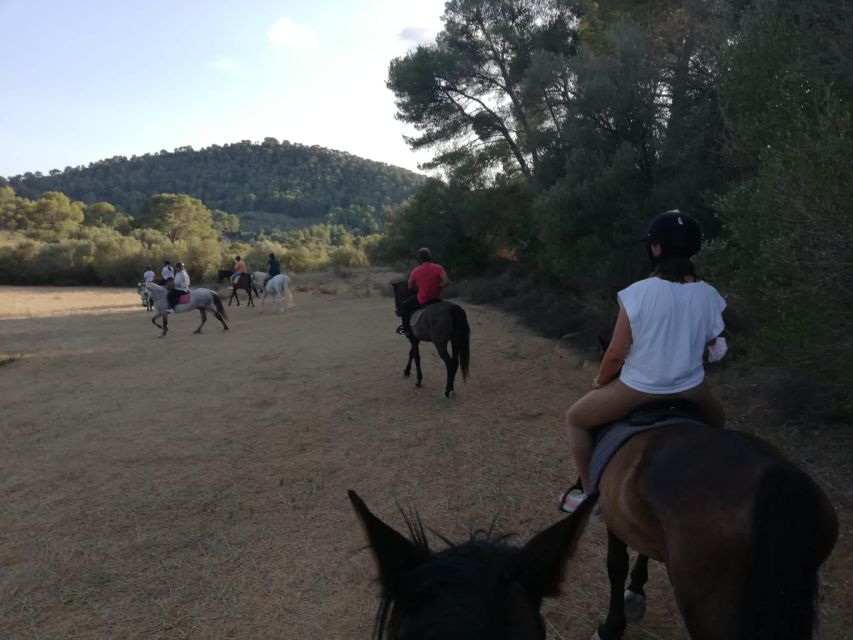 Mallorca: Guided Horseriding Tour of Randa Valley - Exploring Randa Valley Trails